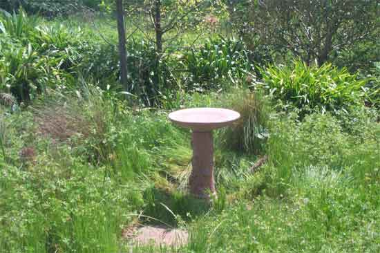 birdbath