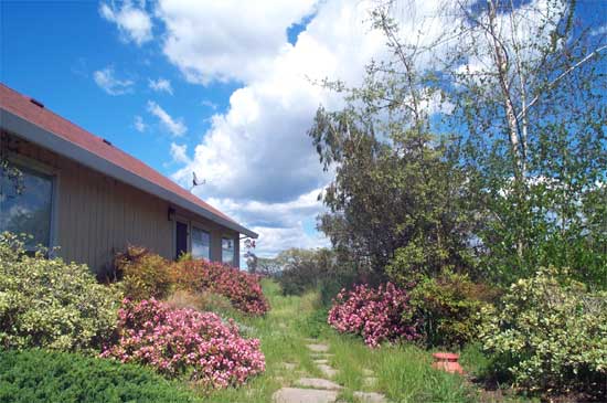 garden path