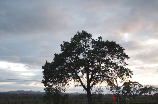 at sunset