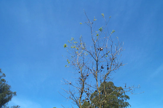 7 April 2004