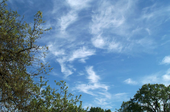 12 April 2004