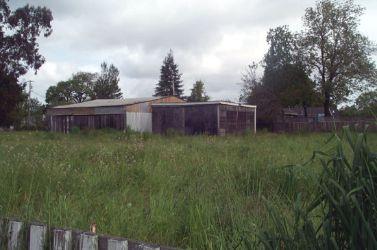 20 April 2004
