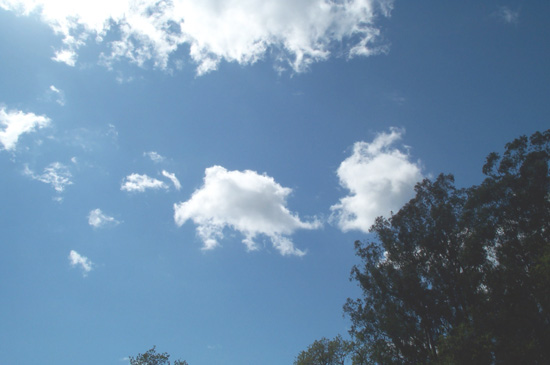 4 April 2005