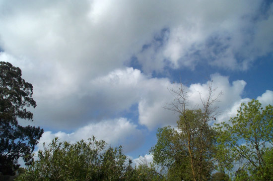 8 April 2005