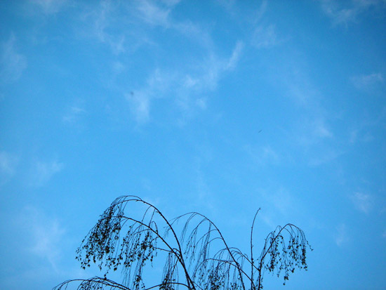 26 March 2006