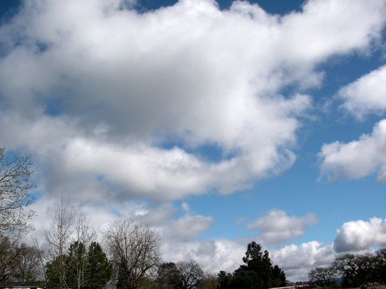 5 April 2006