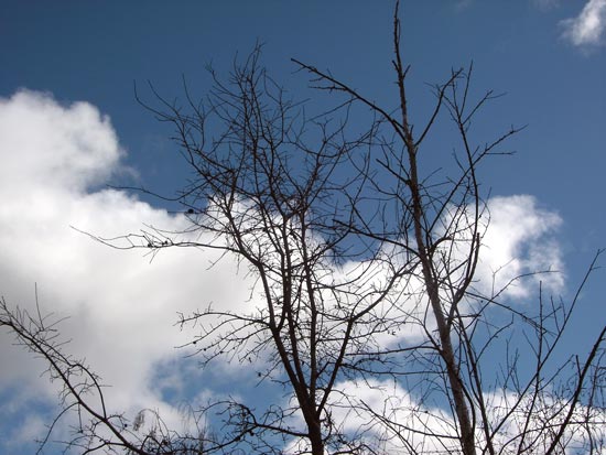 5 April 2006