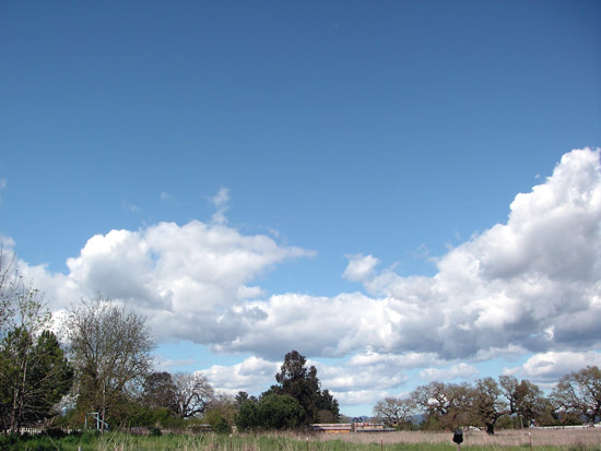 17 April 2006