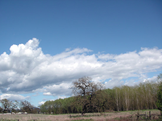 17 April 2006