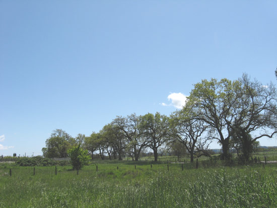 15 April 2009