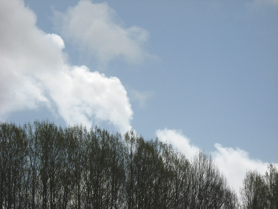 30 March 2010