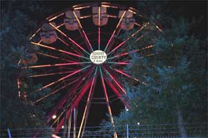 ferris wheel at night