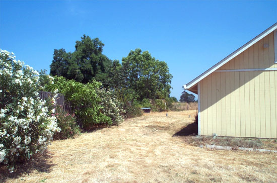 side yard