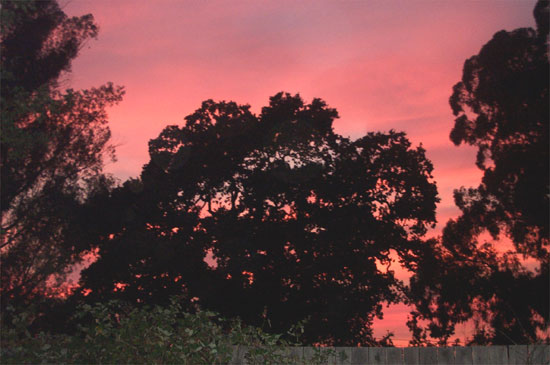 red sunset