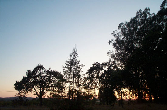 not quite sunset