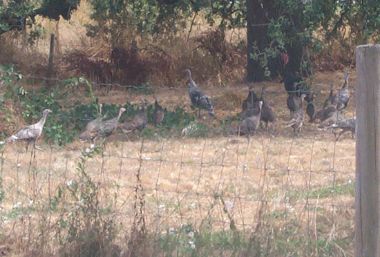 19 August 2003