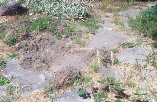 4 August 2004