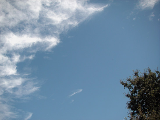 9 August 2005