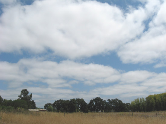 21 July 2008