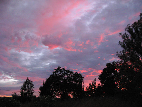 28 August 2009