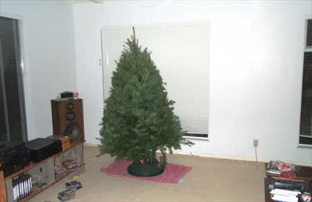 naked tree