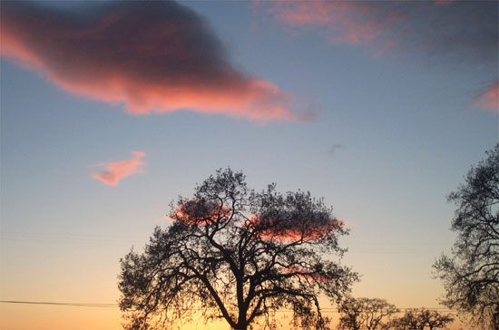 big pink clouds