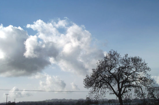 cloudy