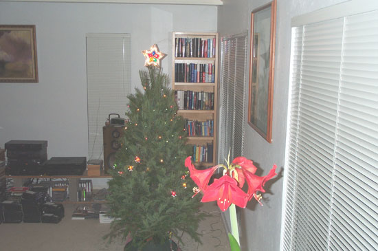  O Christmas tree