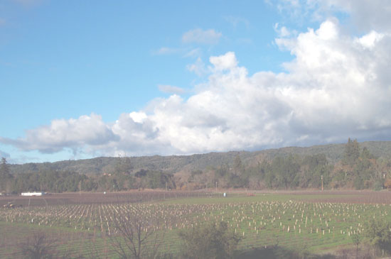 vineyards, hills and clouds