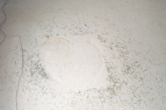 needles on carpet