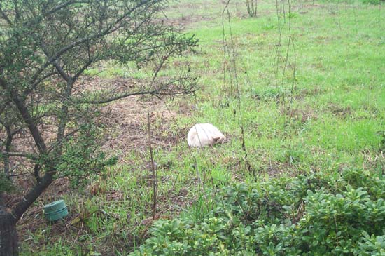 5 December 2003