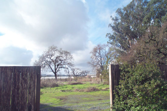 10 December 2003