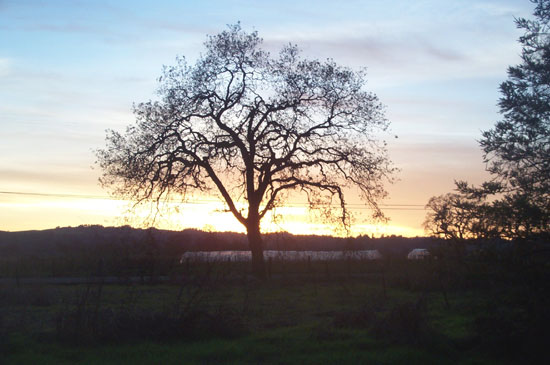 15 December 2003