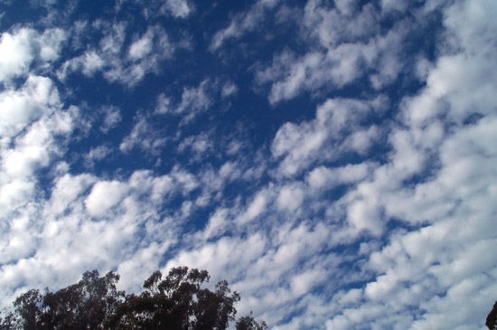 18 December 2003
