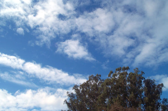 7 December 2004