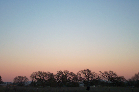 22 December 2004
