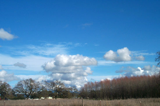 29 December 2004