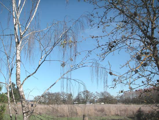6 December 2005