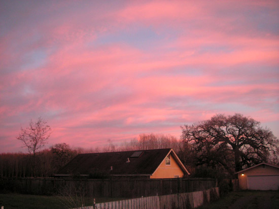 9 December 2005