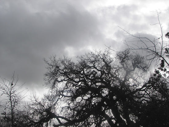 28 December 2005