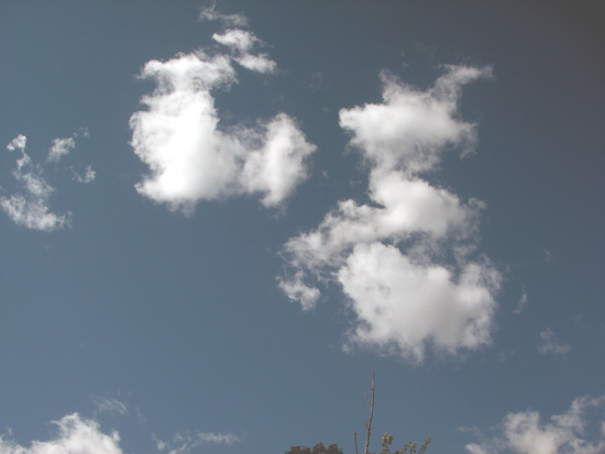 5 October 2007