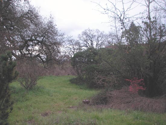 16 December 2007