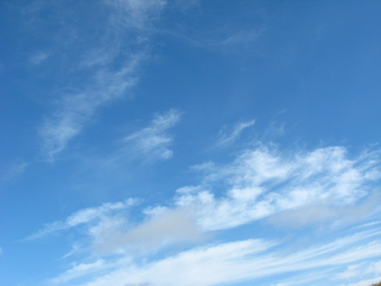 12 November 2008
