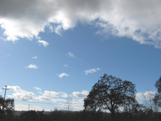 13 December 2008