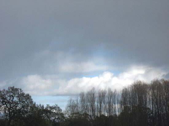 13 December 2008