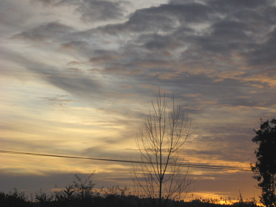 20 December 2008