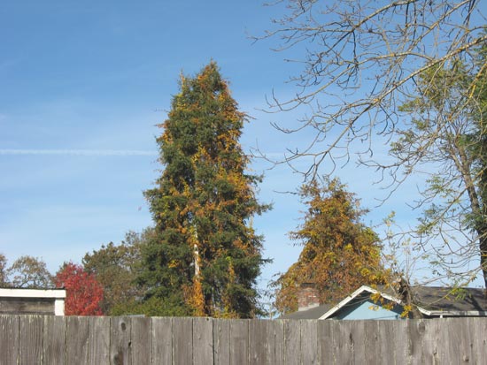 1 December 2009