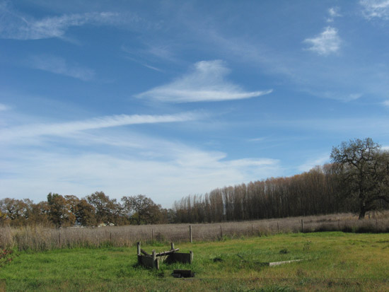 1 December 2009