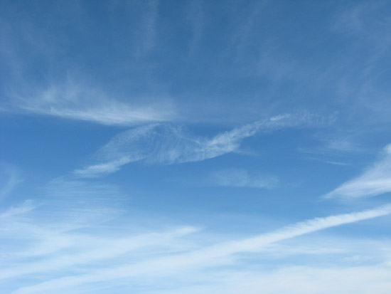 1 December 2009