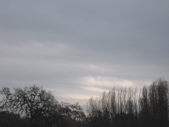 12 December 2009
